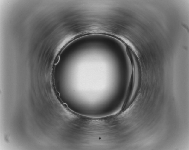X0000096201333200801251004