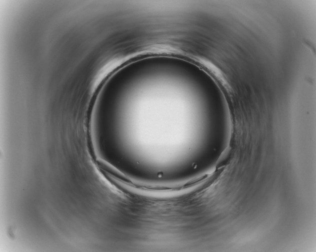 X0000096201335200801251004