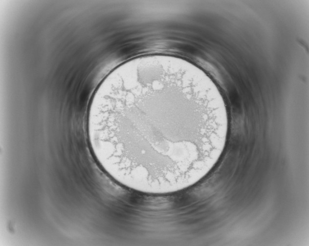 X0000096201338200801251004
