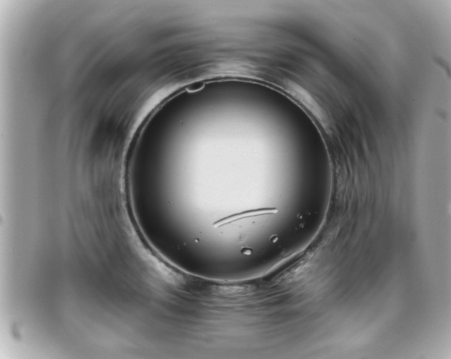 X0000096201339200801251004