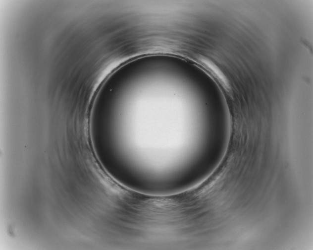 X0000096201340200801251004
