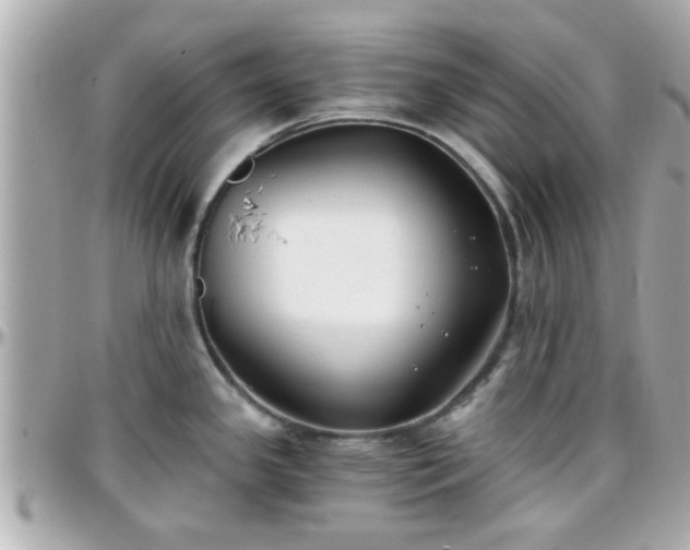 X0000096201341200801251004