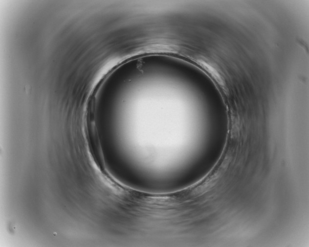 X0000096201342200801251004