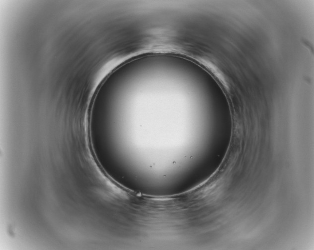 X0000096201343200801251004
