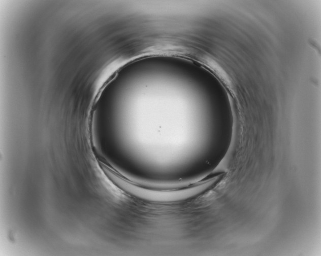 X0000096201344200801251004