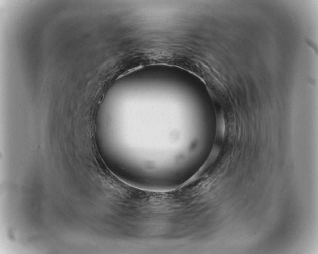 X0000096201345200801251004
