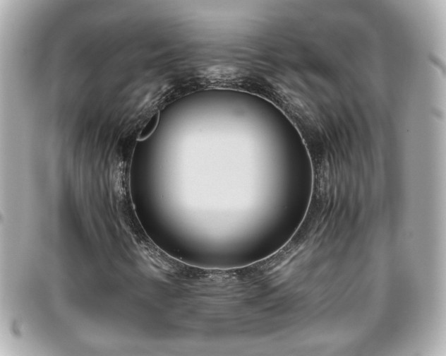X0000096201346200801251004
