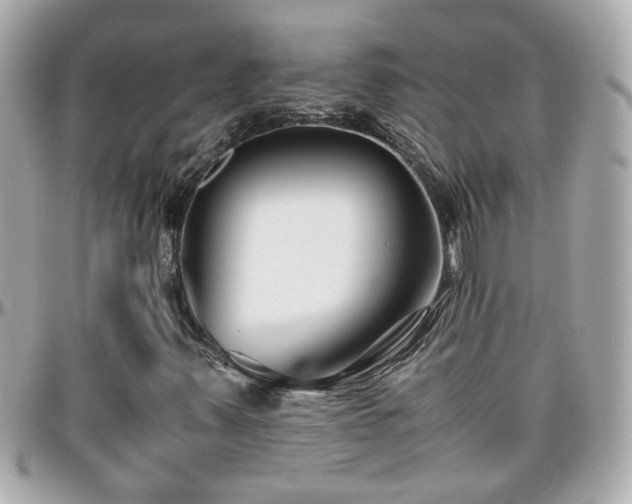 X0000096201347200801251004