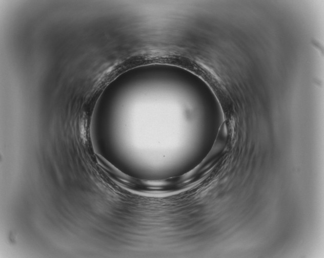 X0000096201348200801251004