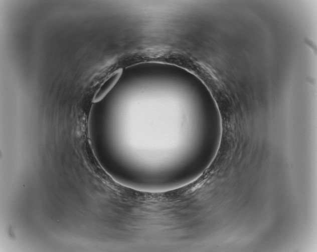 X0000096201349200801251004