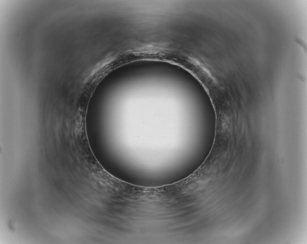 X0000096201350200801251004