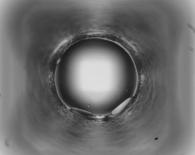 X0000096201351200801251004