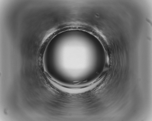 X0000096201352200801251004