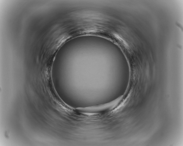 X0000096201353200801251004