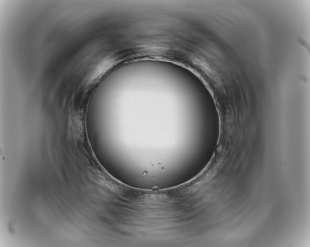 X0000096201354200801251004
