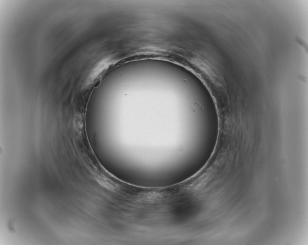 X0000096201355200801251004