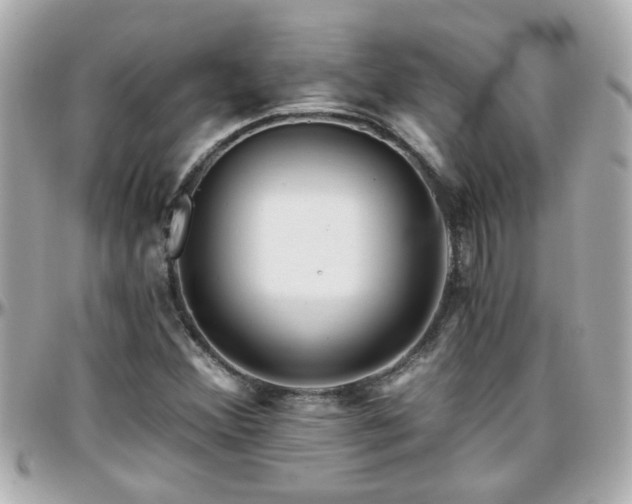 X0000096201356200801251004