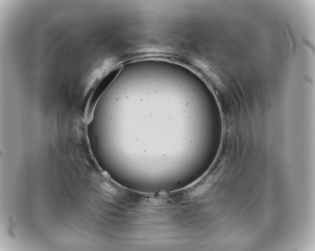 X0000096201357200801251004