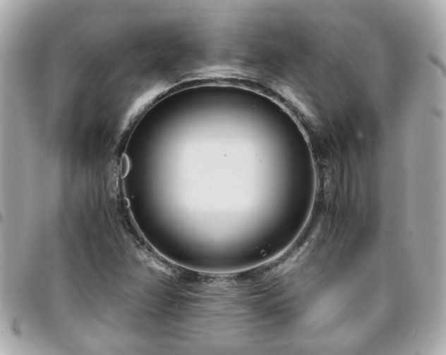 X0000096201358200801251003