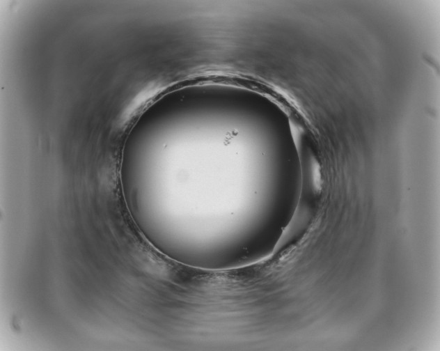 X0000096201359200801251003