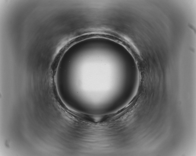 X0000096201360200801251003