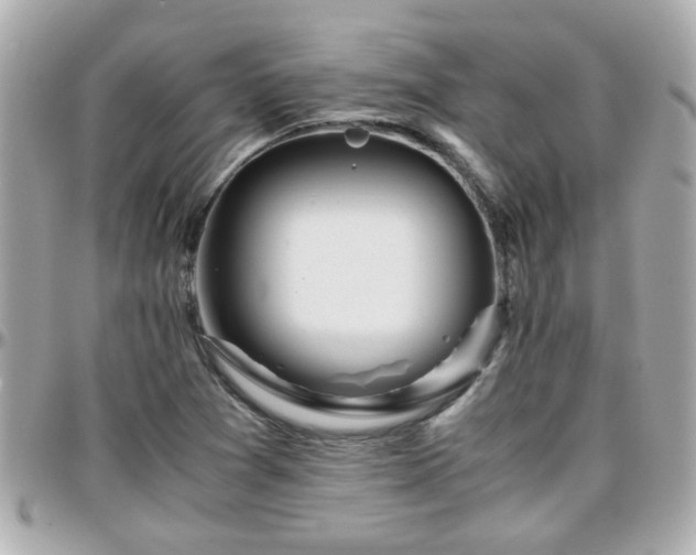 X0000096201361200801251003