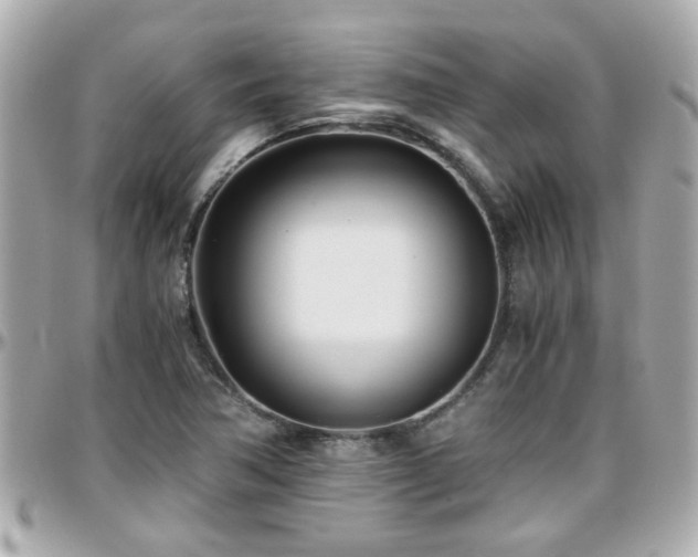 X0000096201362200801251003