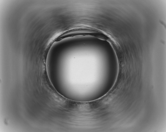 X0000096201363200801251003