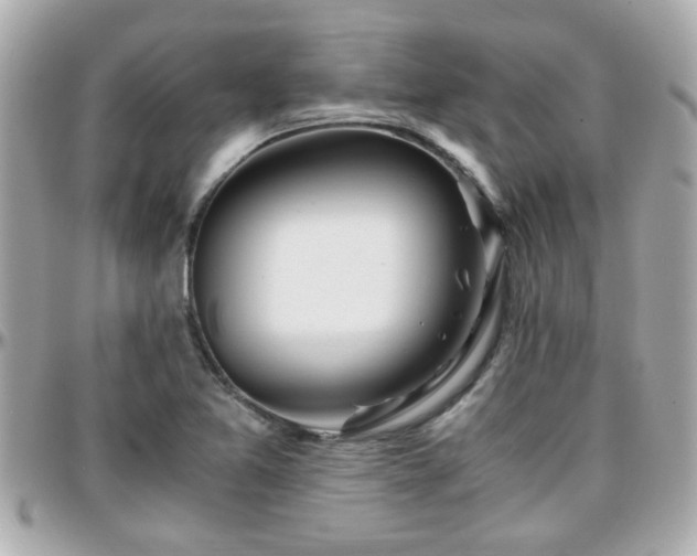 X0000096201365200801251003