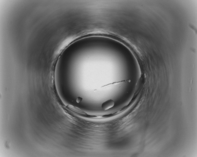X0000096201367200801251003