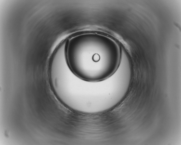 X0000096201368200801251003