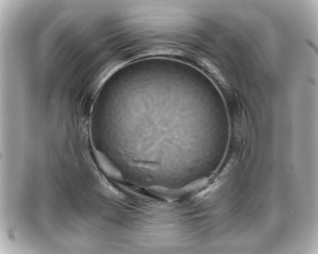 X0000096201369200801251003