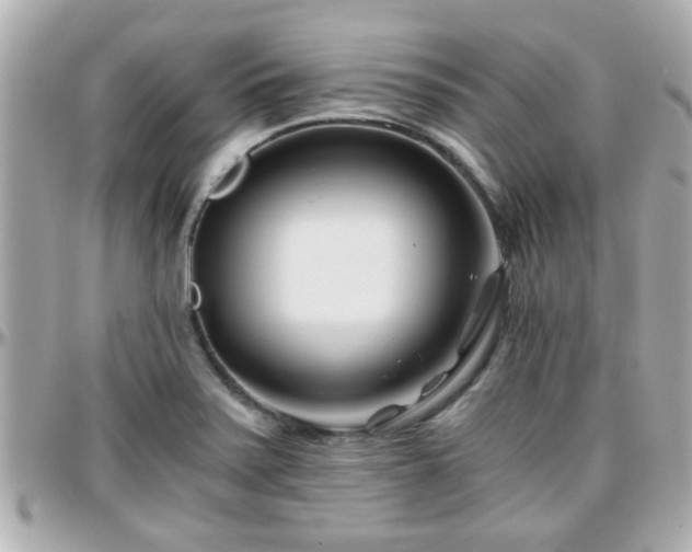 X0000096201371200801251003