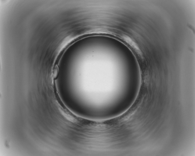 X0000096201372200801251003