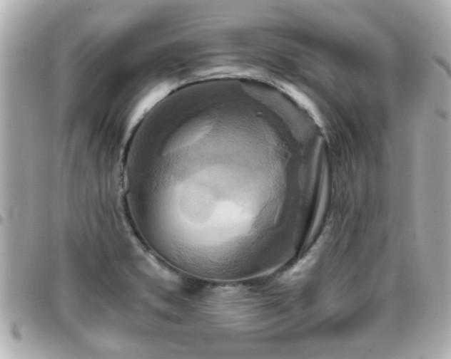X0000096201373200801251003