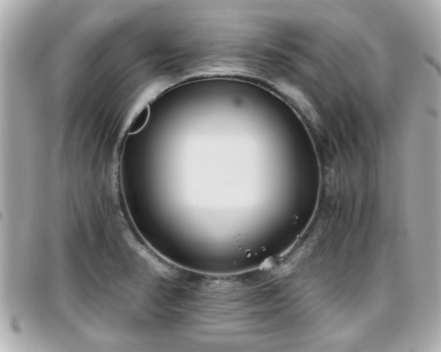 X0000096201374200801251003