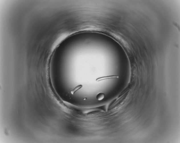 X0000096201375200801251003