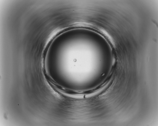 X0000096201376200801251003