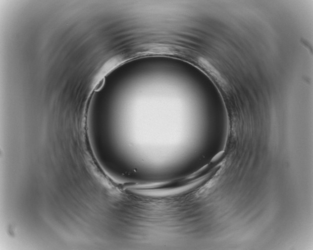 X0000096201378200801251003