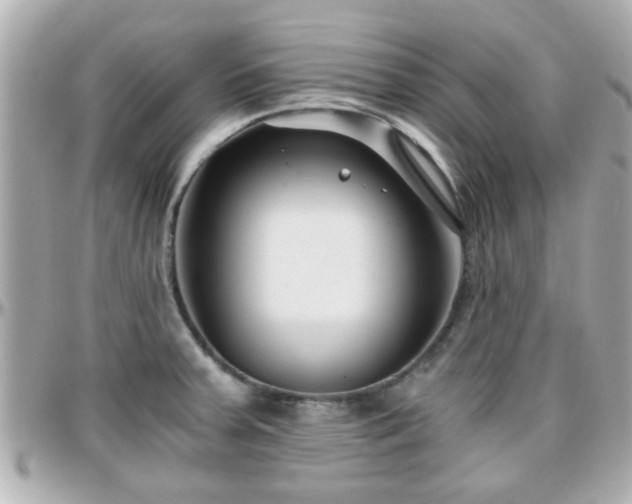 X0000096201379200801251003