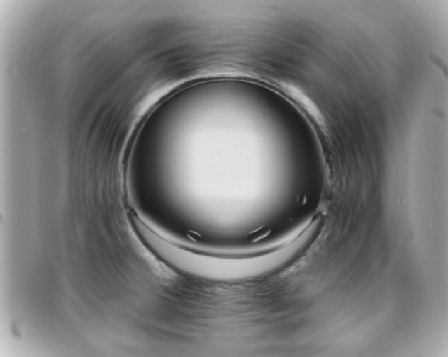 X0000096201380200801251003