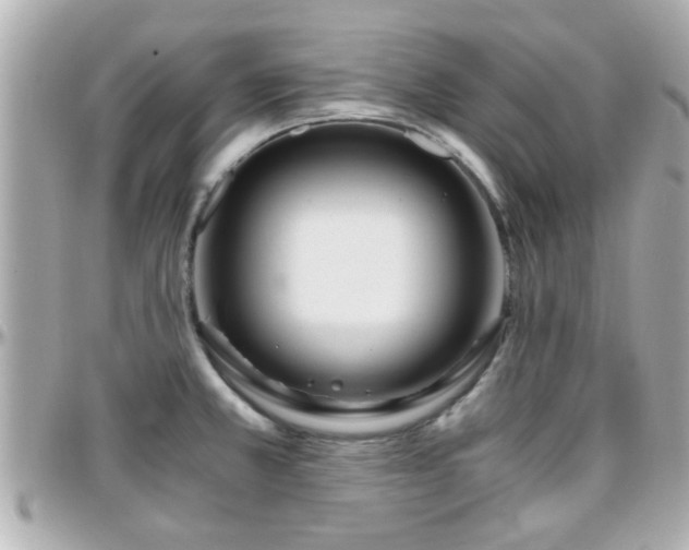 X0000096201381200801251003