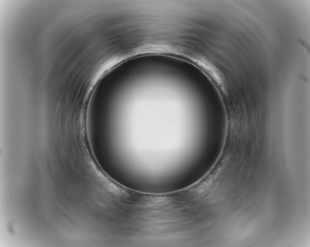 X0000096201382200801251003