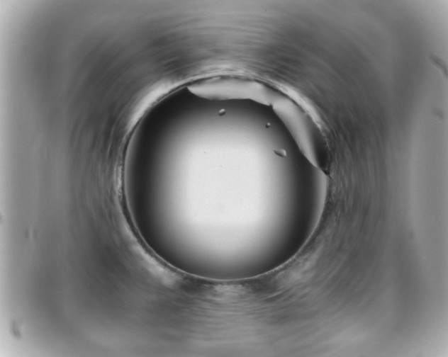 X0000096201383200801251003