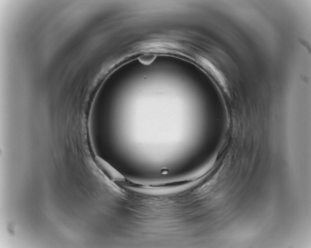 X0000096201384200801251003