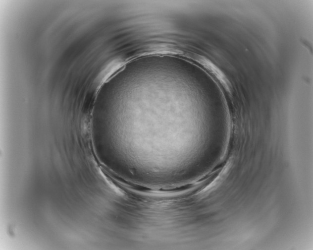 X0000096201385200801251003