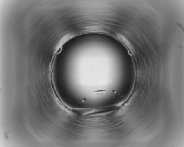 X0000096201386200801251003