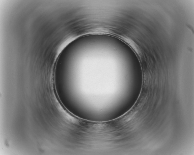 X0000096201387200801251003