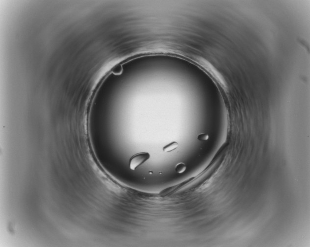 X0000096201388200801251003