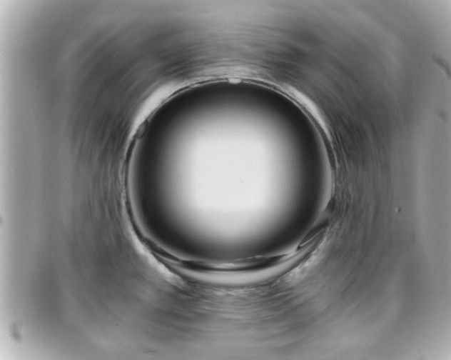 X0000096201389200801251003